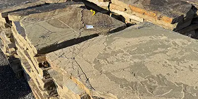 tn-mocha_gold_quarry_geomax_stone_tn_tennessee_natural_stones_quarrier_direct